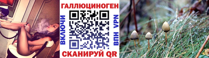 Псилоцибиновые грибы мухоморы  Купить где  Наро-Фоминск 